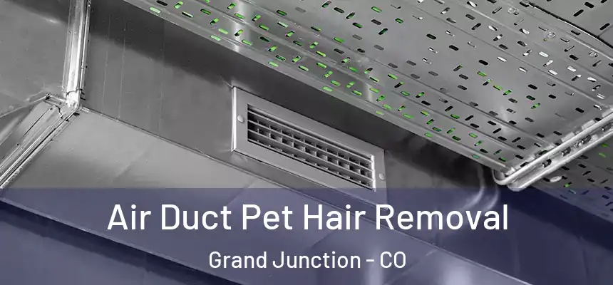 Air Duct Pet Hair Removal Grand Junction - CO
