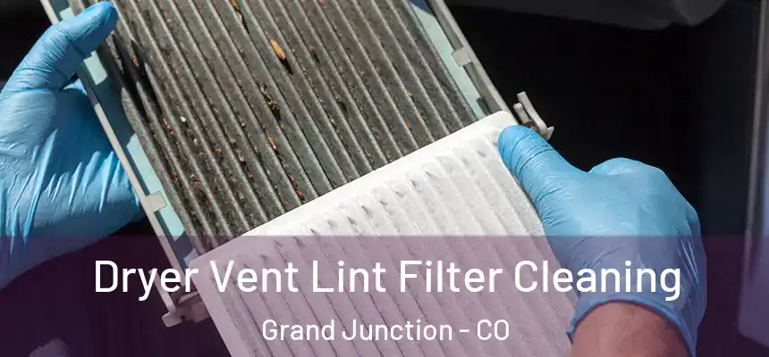  Dryer Vent Lint Filter Cleaning Grand Junction - CO