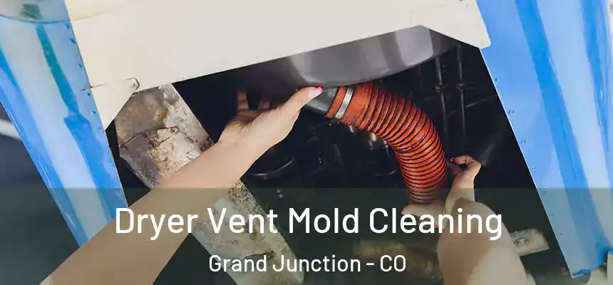  Dryer Vent Mold Cleaning Grand Junction - CO