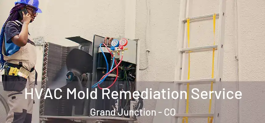  HVAC Mold Remediation Service Grand Junction - CO