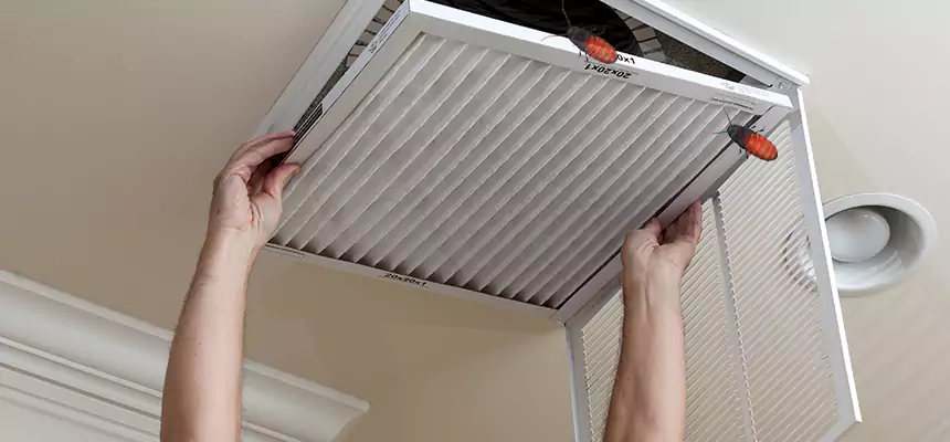 Preventive Cockroach-Proofing for Ducts in Grand Junction