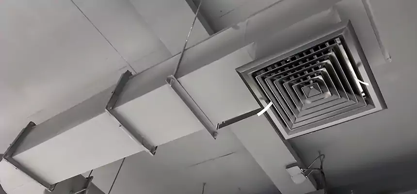 Our Pest Removal From Ducts Services in Grand Junction, CO