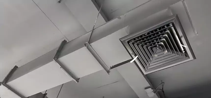 Our Rodent Droppings In Vents Services in Grand Junction, CO