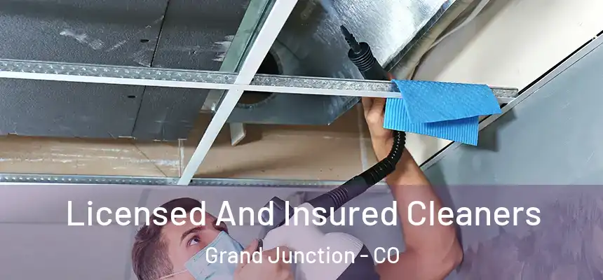 Licensed And Insured Cleaners Grand Junction - CO