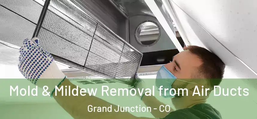 Mold & Mildew Removal from Air Ducts Grand Junction - CO