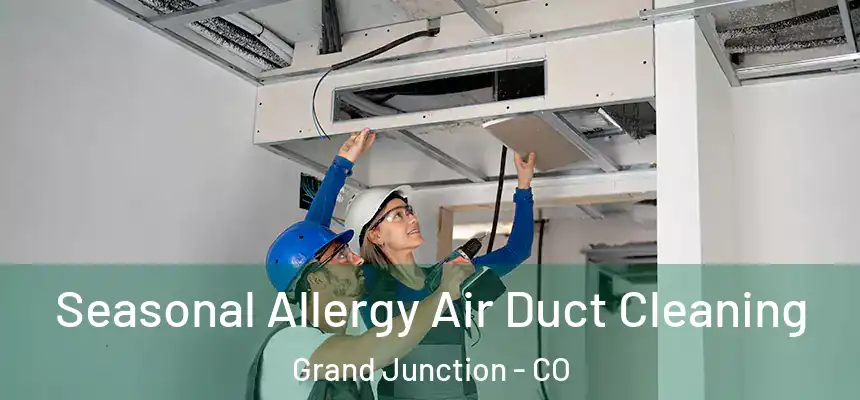 Seasonal Allergy Air Duct Cleaning Grand Junction - CO