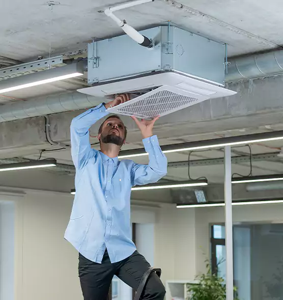 Advanced Rodent Droppings In Vents in Grand Junction, CO