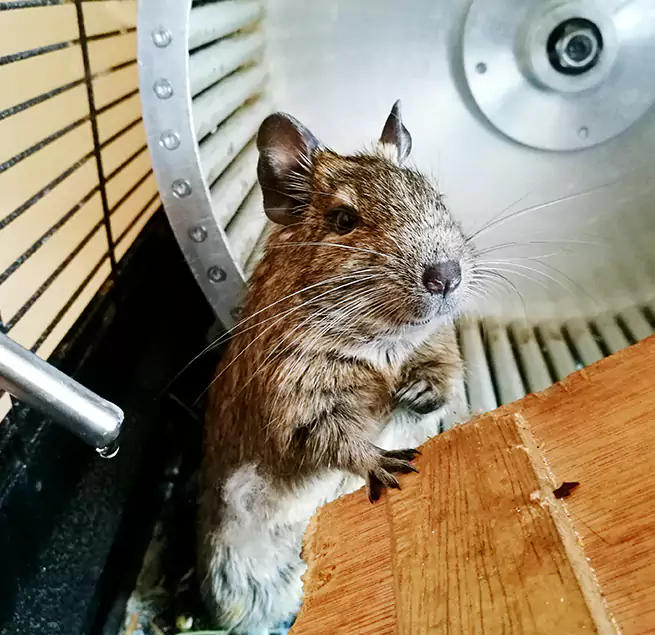 Why Homeowners & Businesses Trust Us Grand Junction, CO